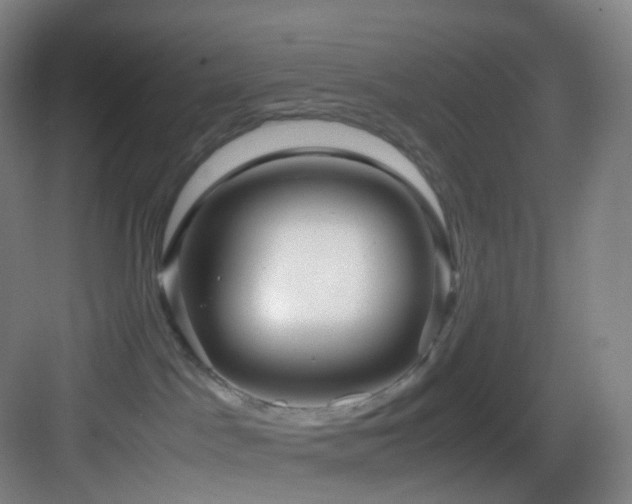 X0000083560045200702091136