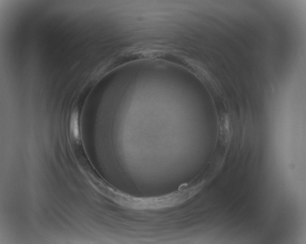 X0000083560046200702091136