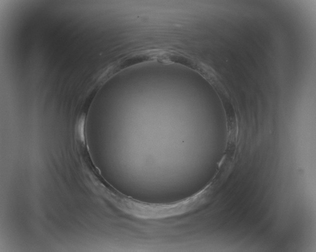 X0000083560047200702091136