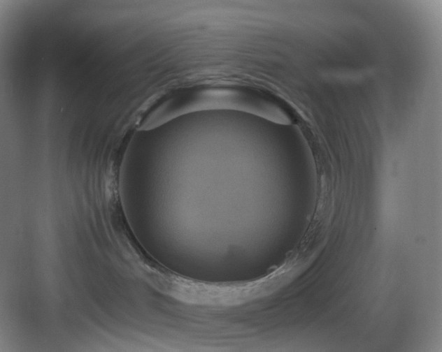 X0000083560048200702091136