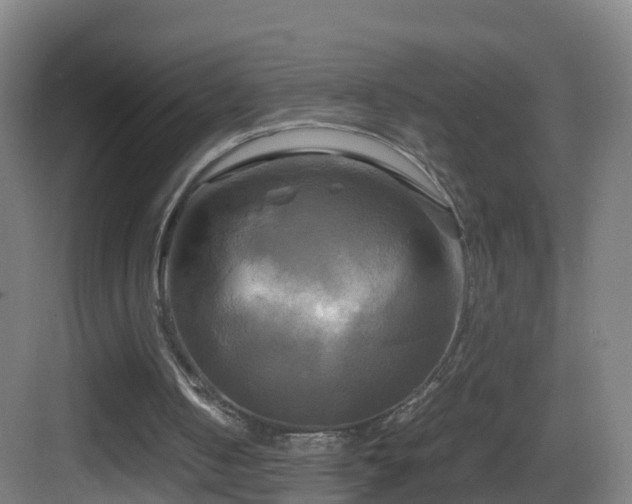 X0000083560050200702091135