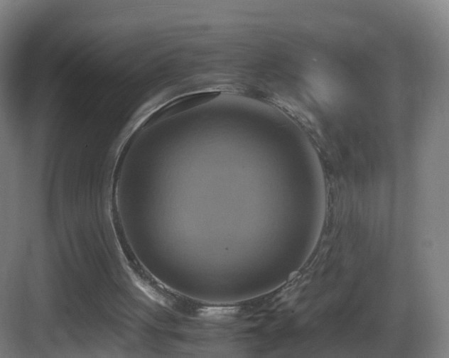 X0000083560051200702091135