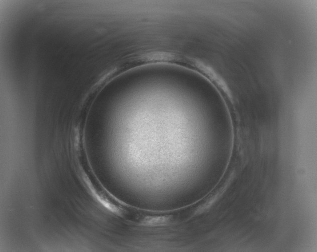 X0000083560057200702091135