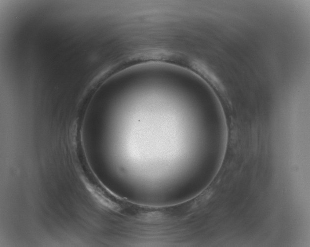 X0000083560058200702091135
