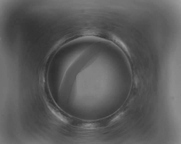 X0000083560059200702091135