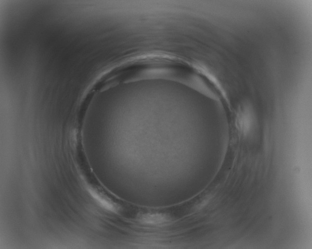 X0000083560063200702091135