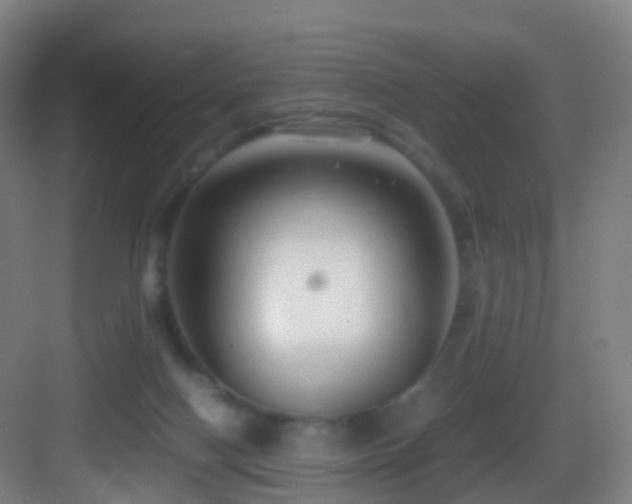 X0000083560074200702091136