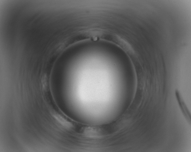 X0000083560077200702091136