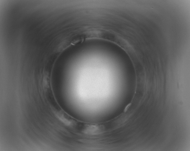 X0000083560083200702091136