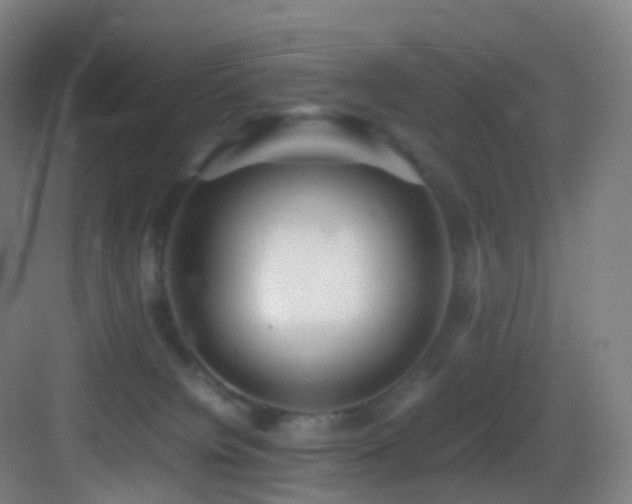 X0000083560084200702091136