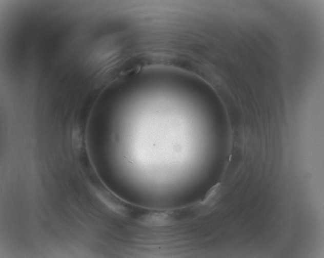 X0000083560086200702091136