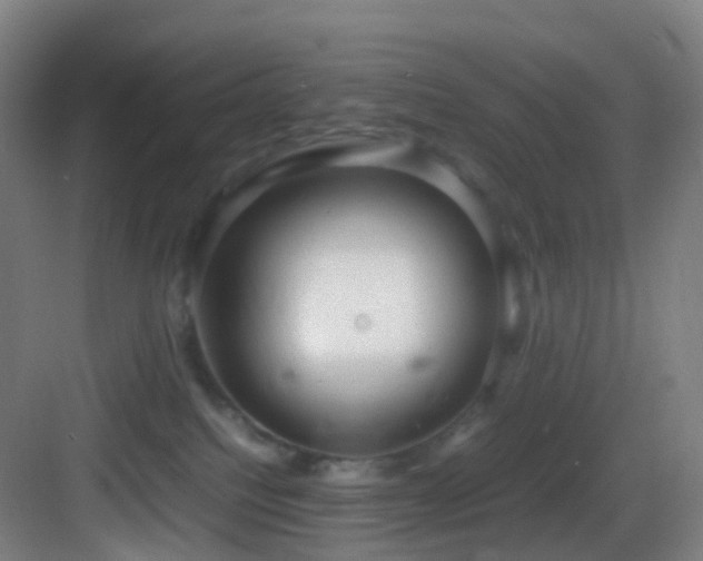 X0000083560088200702091136