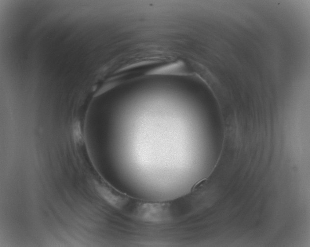 X0000083560089200702091136