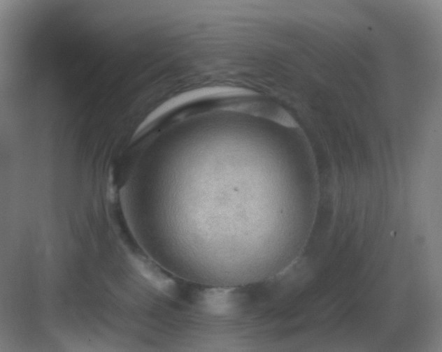 X0000083560090200702091136