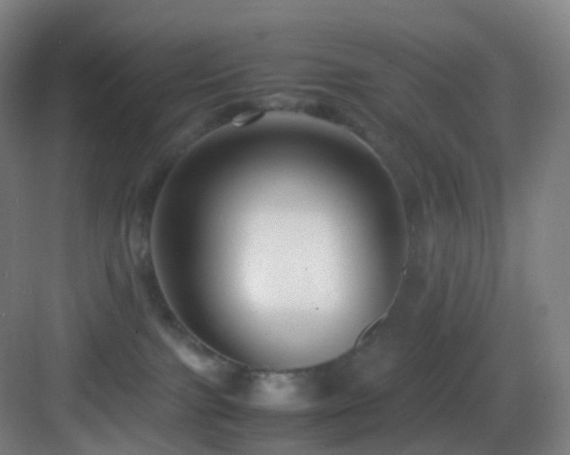X0000083560091200702091136
