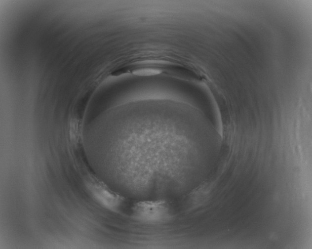 X0000083560093200702091136