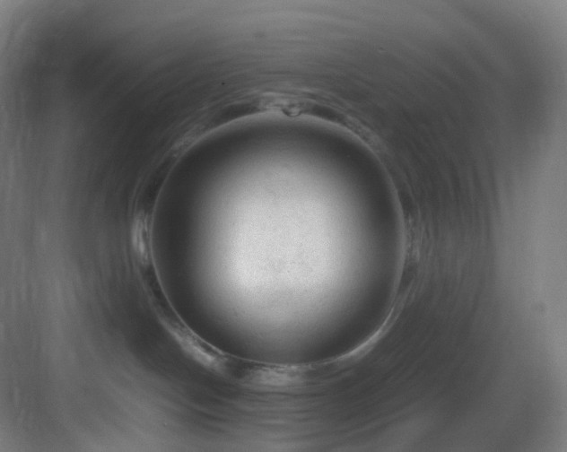 X0000083560094200702091136