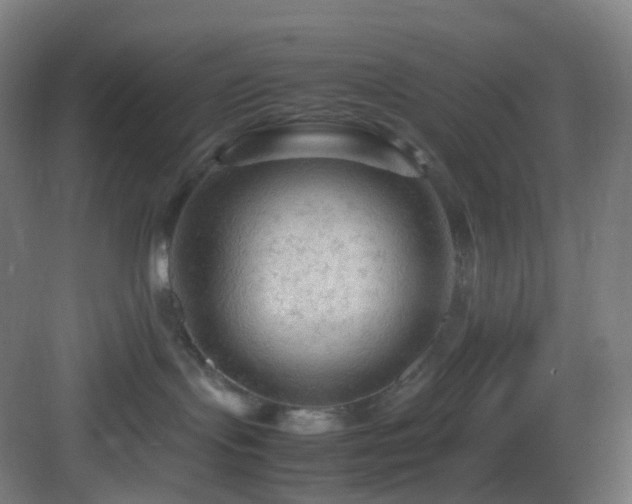 X0000083560095200702091136