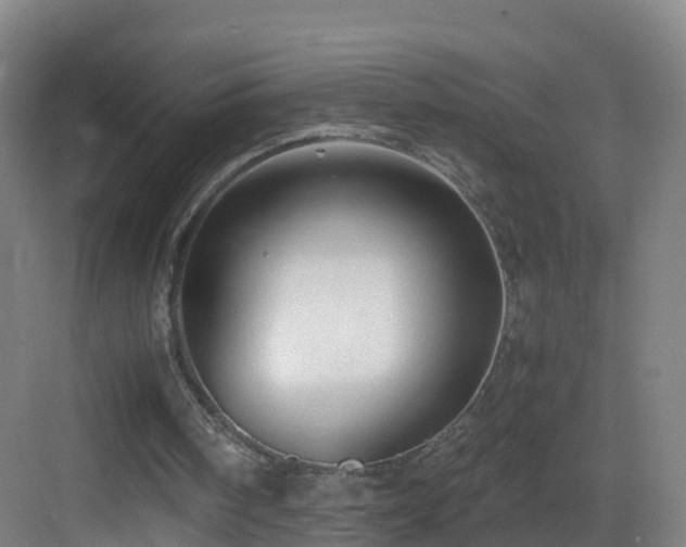 X0000083560098200702091135