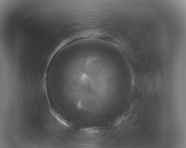 X0000083560100200702091135