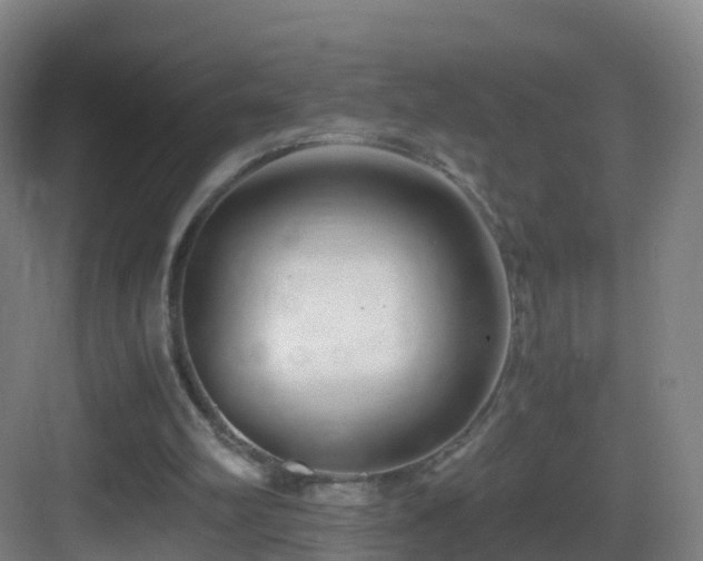 X0000083560102200702091135