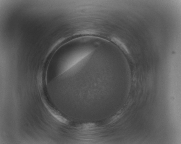 X0000083560108200702091135