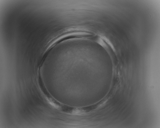 X0000083560109200702091135