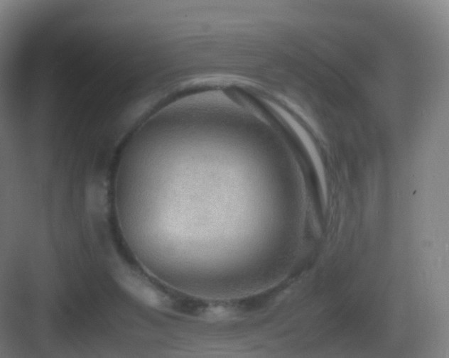 X0000083560111200702091135