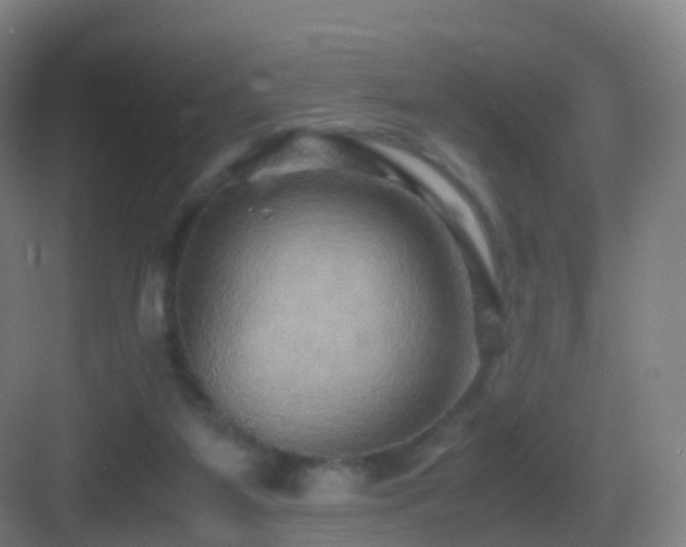 X0000083560115200702091135