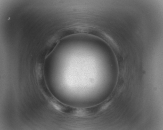 X0000083560121200702091135