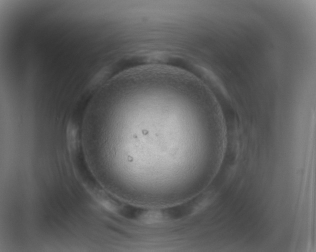X0000083560123200702091135