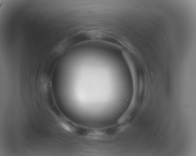 X0000083560125200702091135