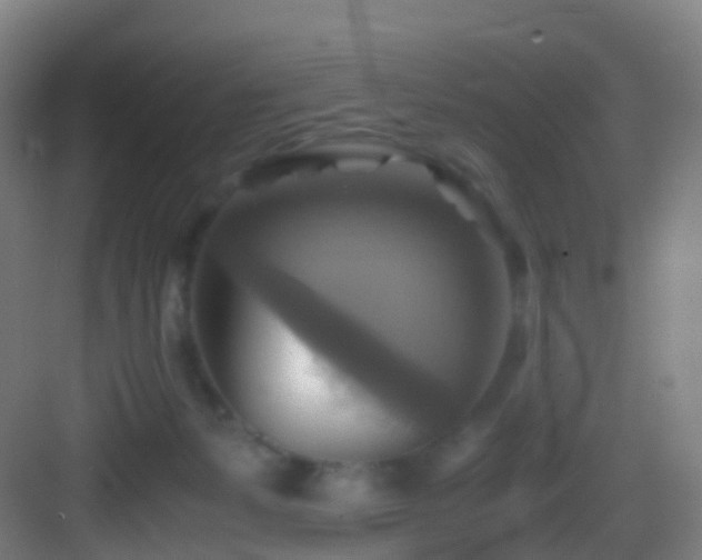 X0000083560127200702091135