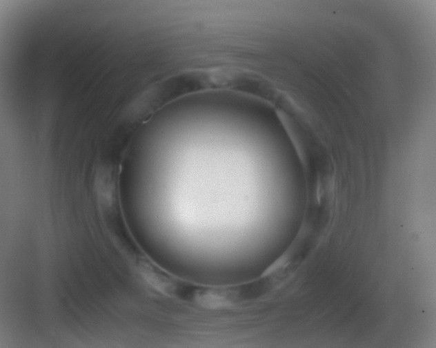 X0000083560129200702091135