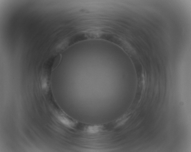 X0000083560134200702091134