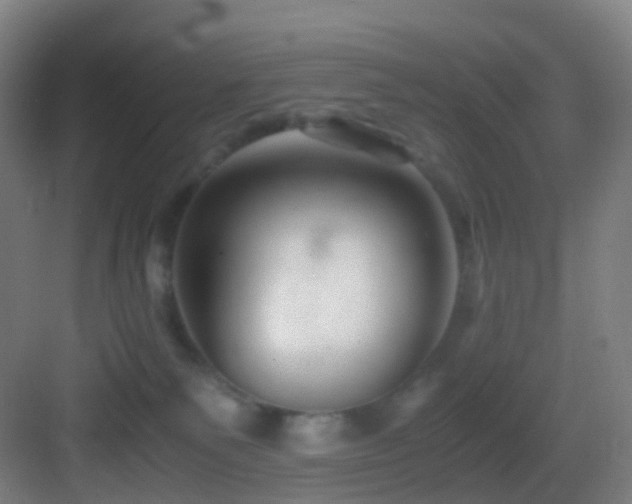 X0000083560135200702091134