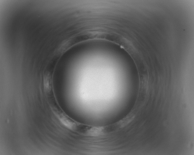 X0000083560138200702091134