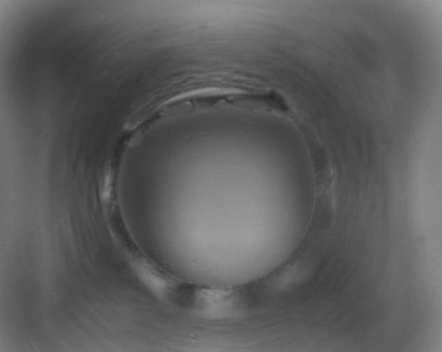 X0000083560139200702091134