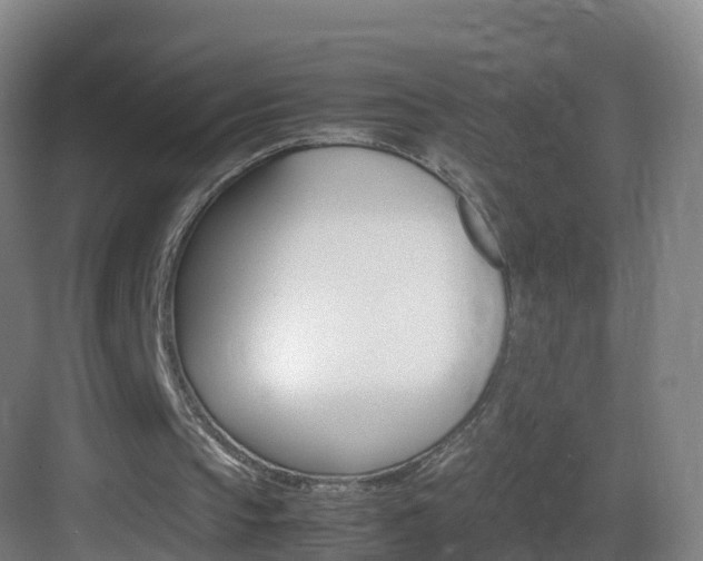 X0000083560145200702091133