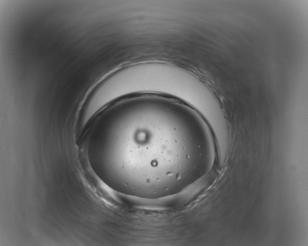 X0000083560146200702091134