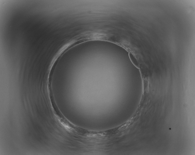 X0000083560147200702091134