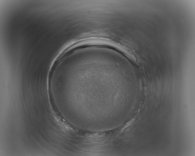 X0000083560148200702091134