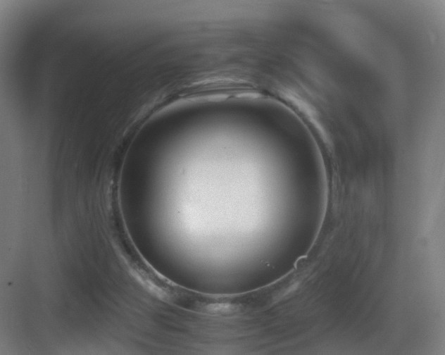 X0000083560153200702091134