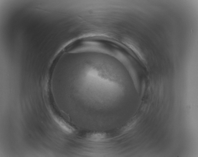 X0000083560156200702091134