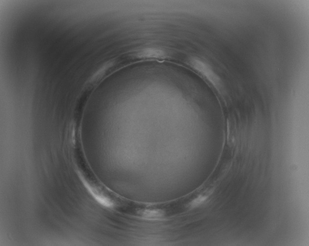 X0000083560157200702091134