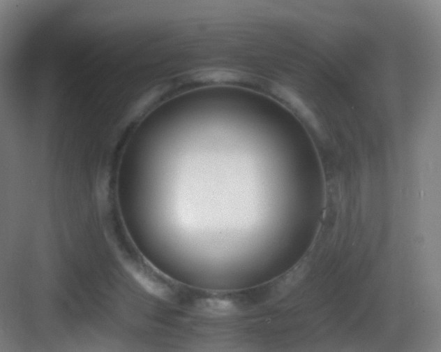 X0000083560159200702091134