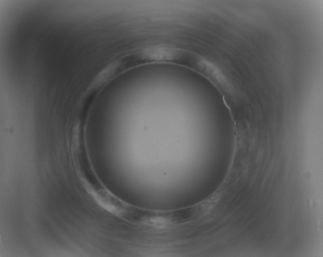 X0000083560163200702091134