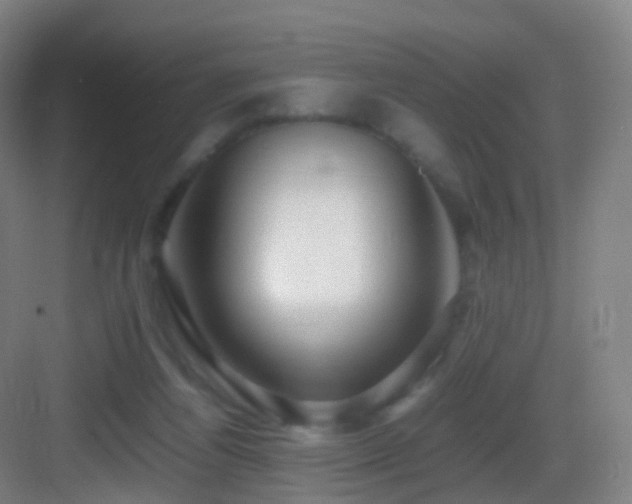 X0000083560164200702091134