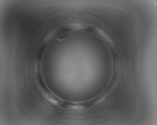 X0000083560165200702091134