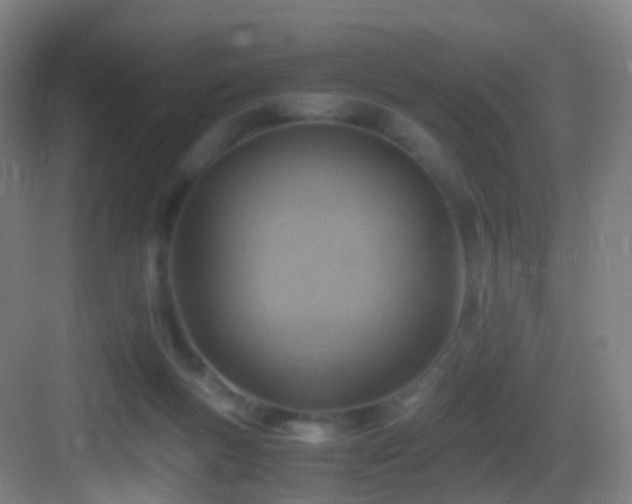 X0000083560167200702091134